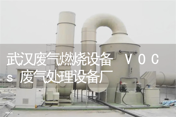 武汉废气燃烧设备 VOCs废气处理设备厂